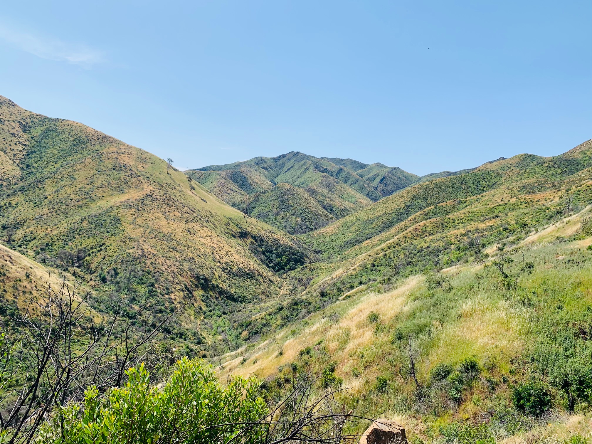 view of spring mountains at Stebbins Cold Canyon Natural Reserve