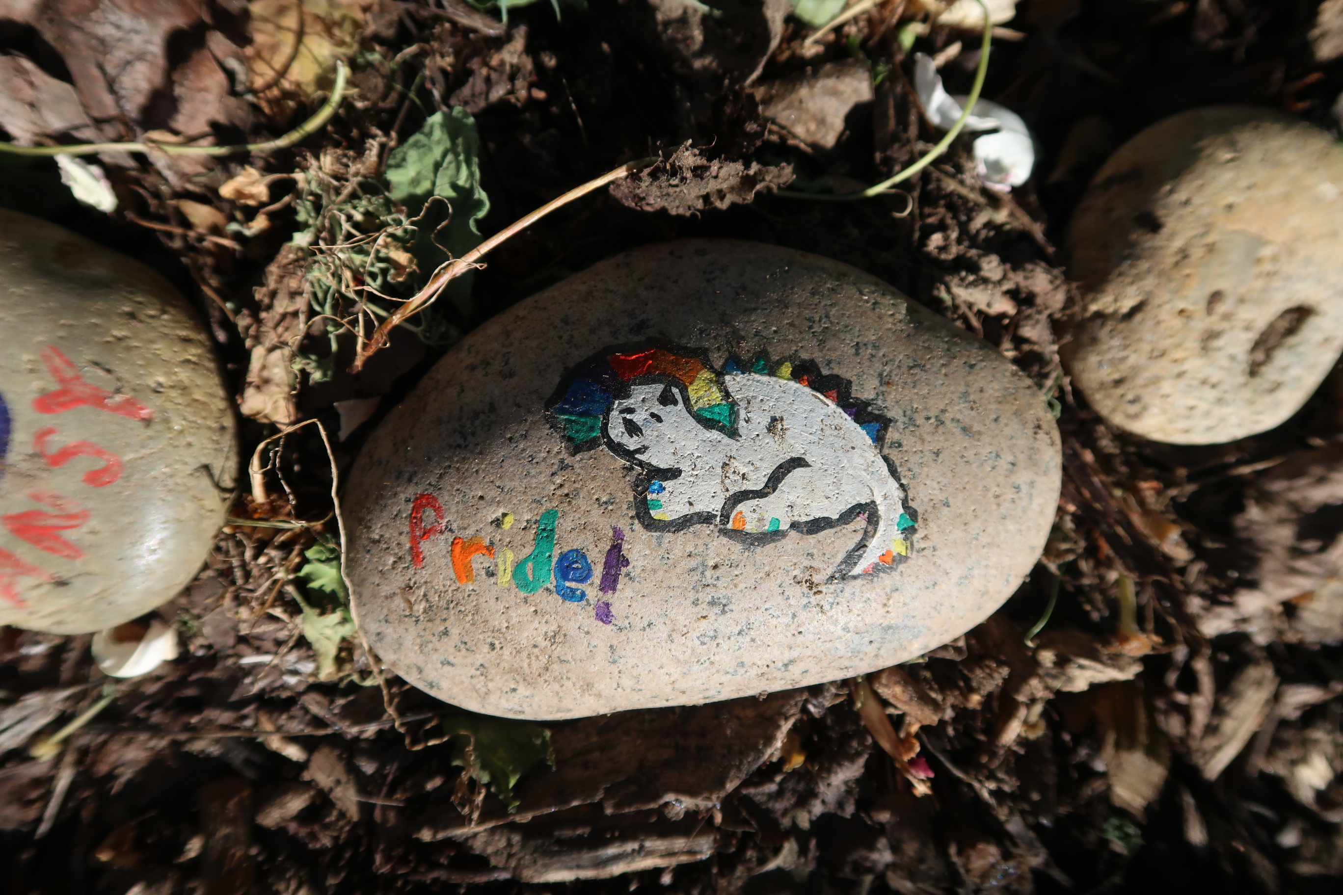 Rock painted with a unicorn and the word "Pride"