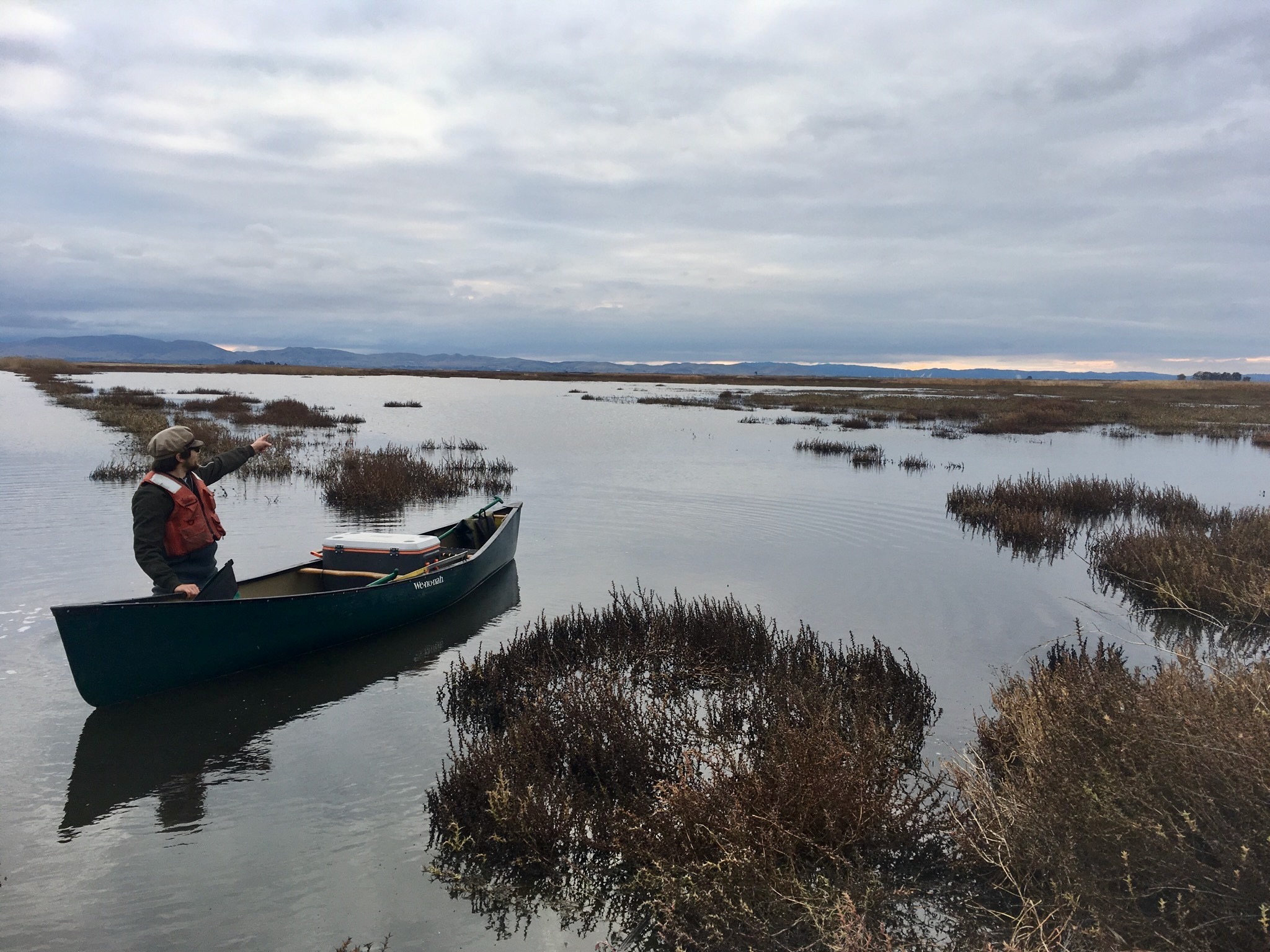 A person in a canoe on calm water, surrounded by marsh plants and cloudy skies.