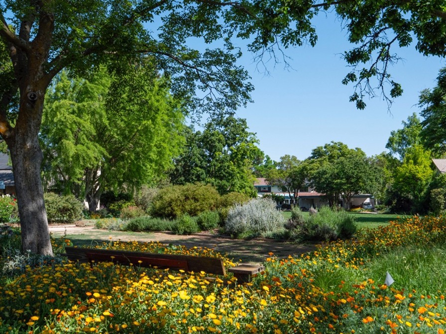 Green landscaping with blue sky in background