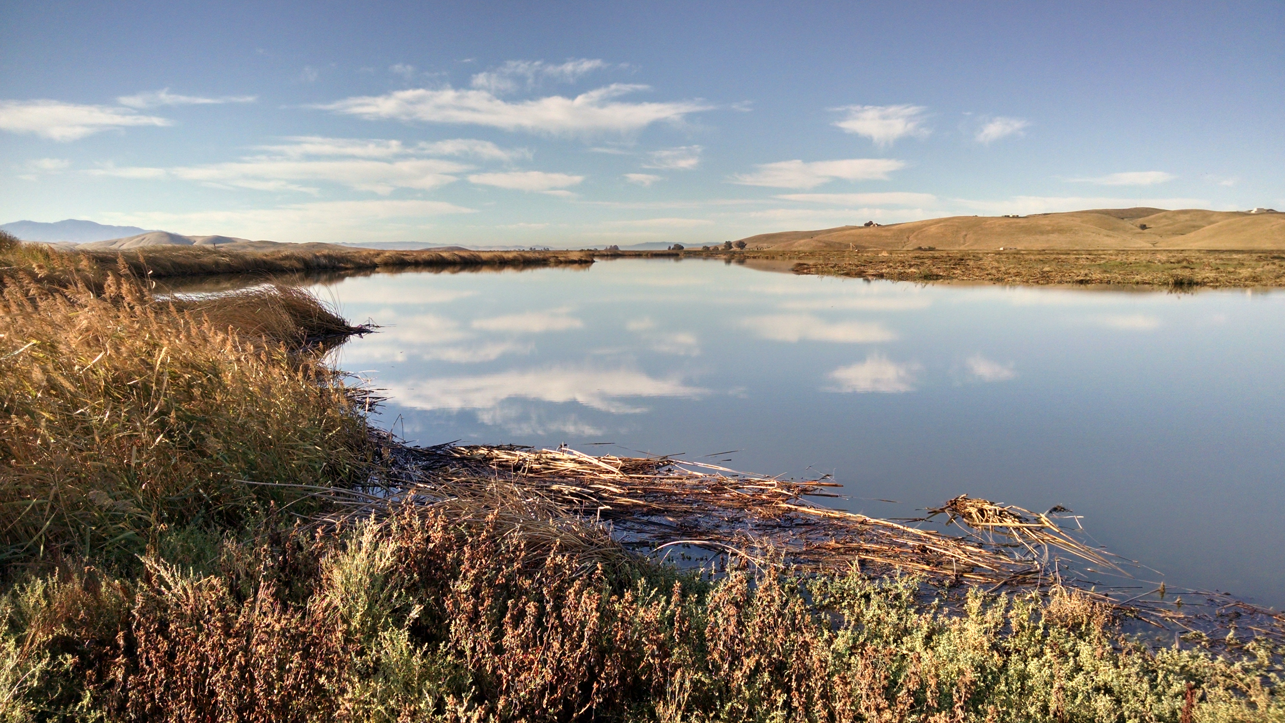 Serene landscape with a calm wetland reflecting the sky, surrounded by lush grass and distant hills.