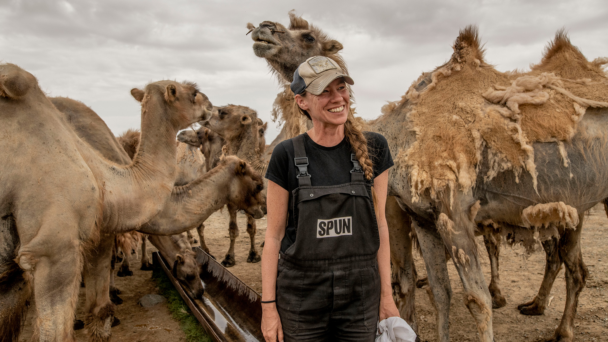 Toby Kiers is surrounded by camels in Mongolia