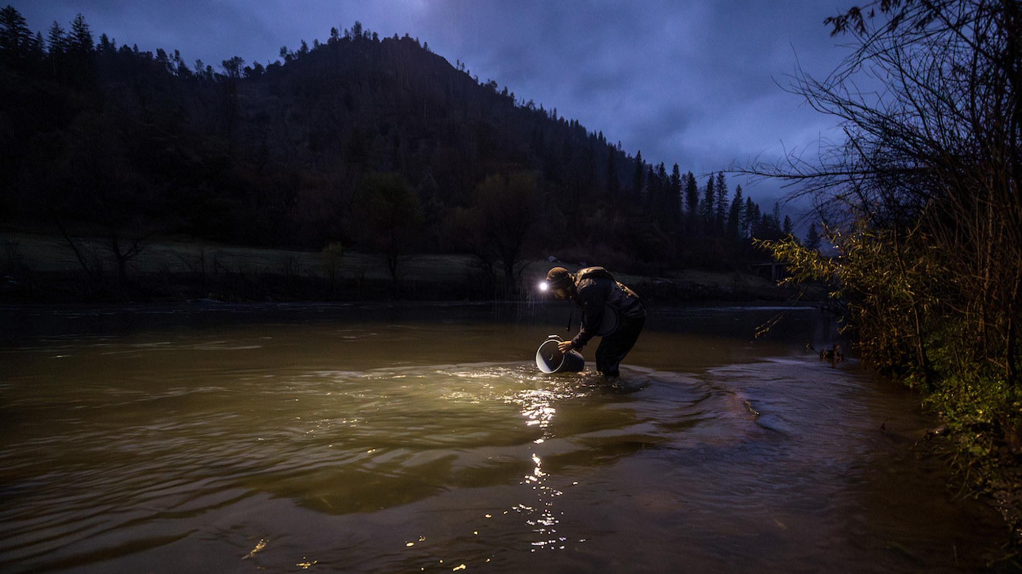 Dusk photo: person kneeling at riverbank, headlamp beam illuminating water