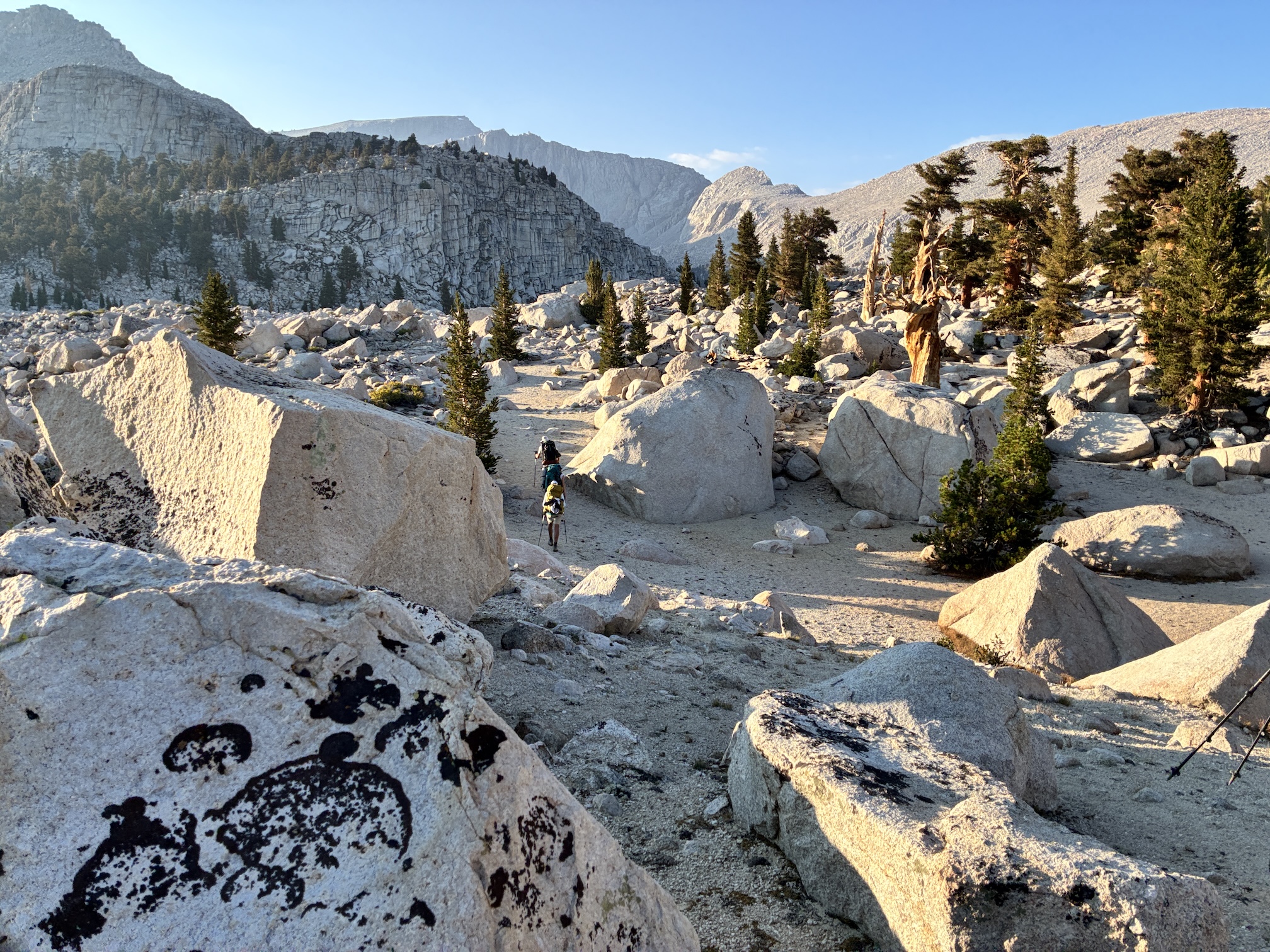 Hikers walk through a landscape of granite boulders covered in black lichen  and a few foxtail pine trees with mountains in background