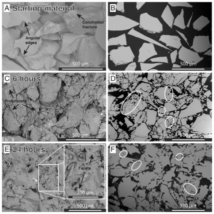 Six images arranged in two columns of three. The images show grey irregular shapes against a black background. From top to bottom, the shapes become more joined together. 