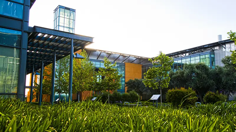 Sunlit glass office courtyard with trees and landscaped greenery
