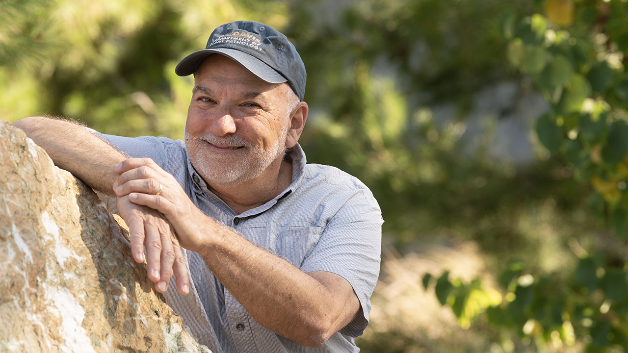 Smiling man in cap leaning on rock in sunlit greenery