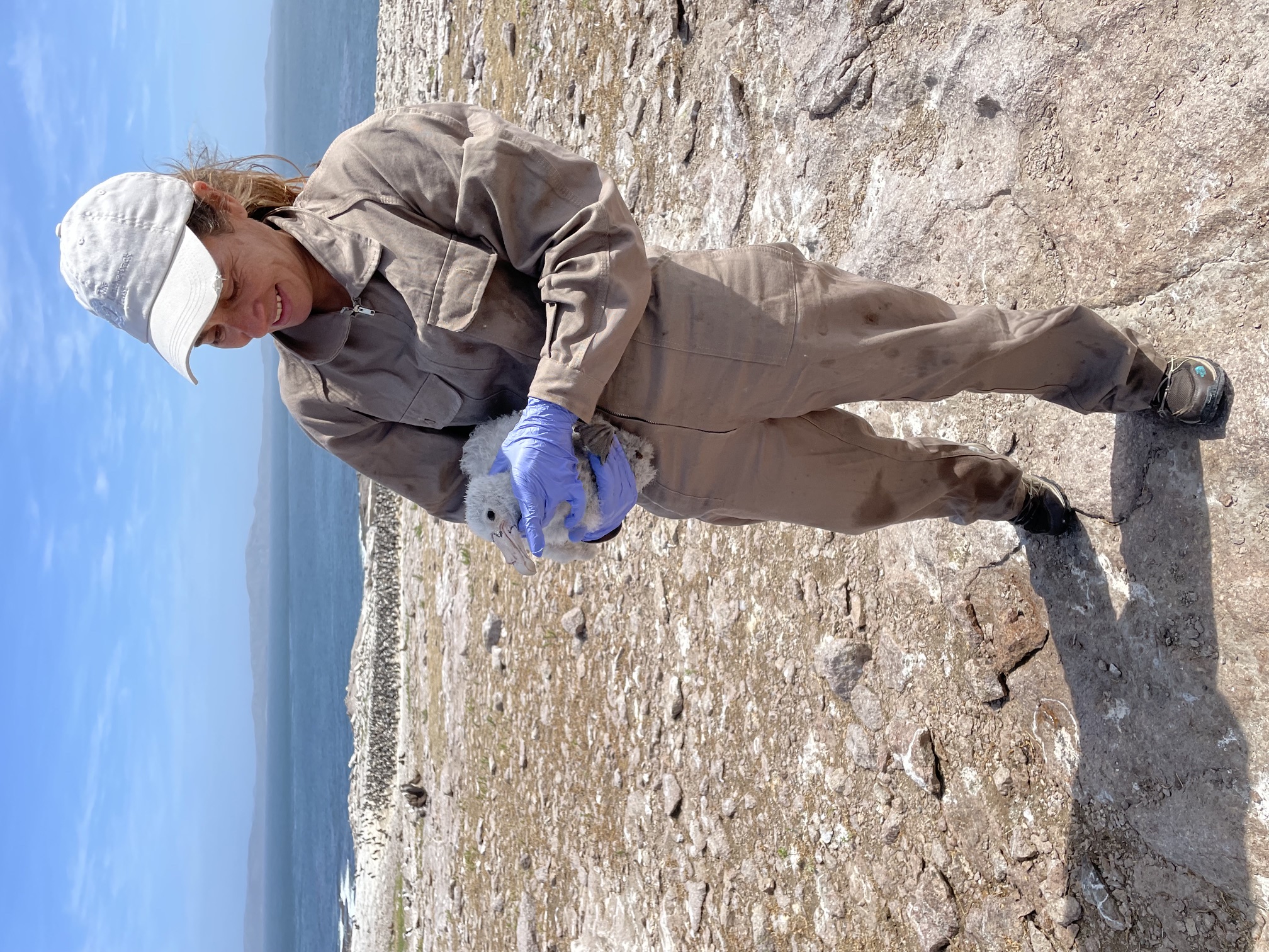 Gabriela Blanco in beige coveralls and purple gloves holds a baby petrel bird on a rocky shoreline, photo
