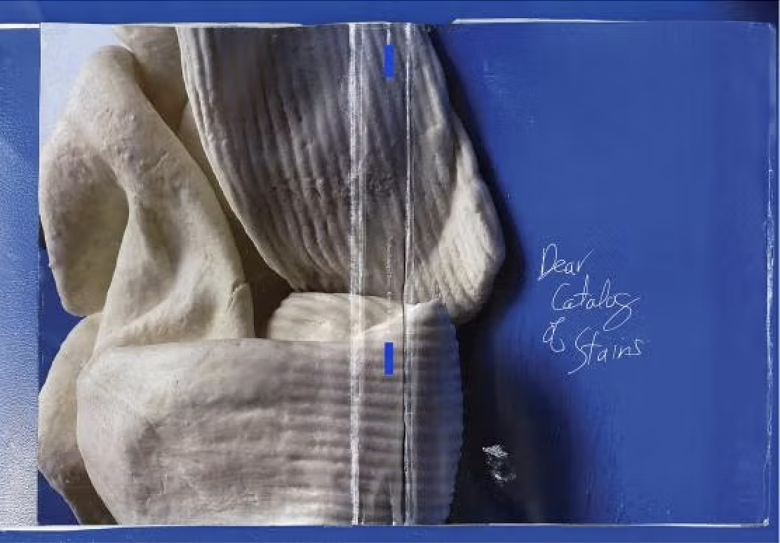Rebeca Bollinger, “Dear Catalog of Stains (part one”2022, cover, spine, and back cover of a limited-edition artist book published by KRUPSKAYA Books, 9 x 13 x .25 inches (courtesy).