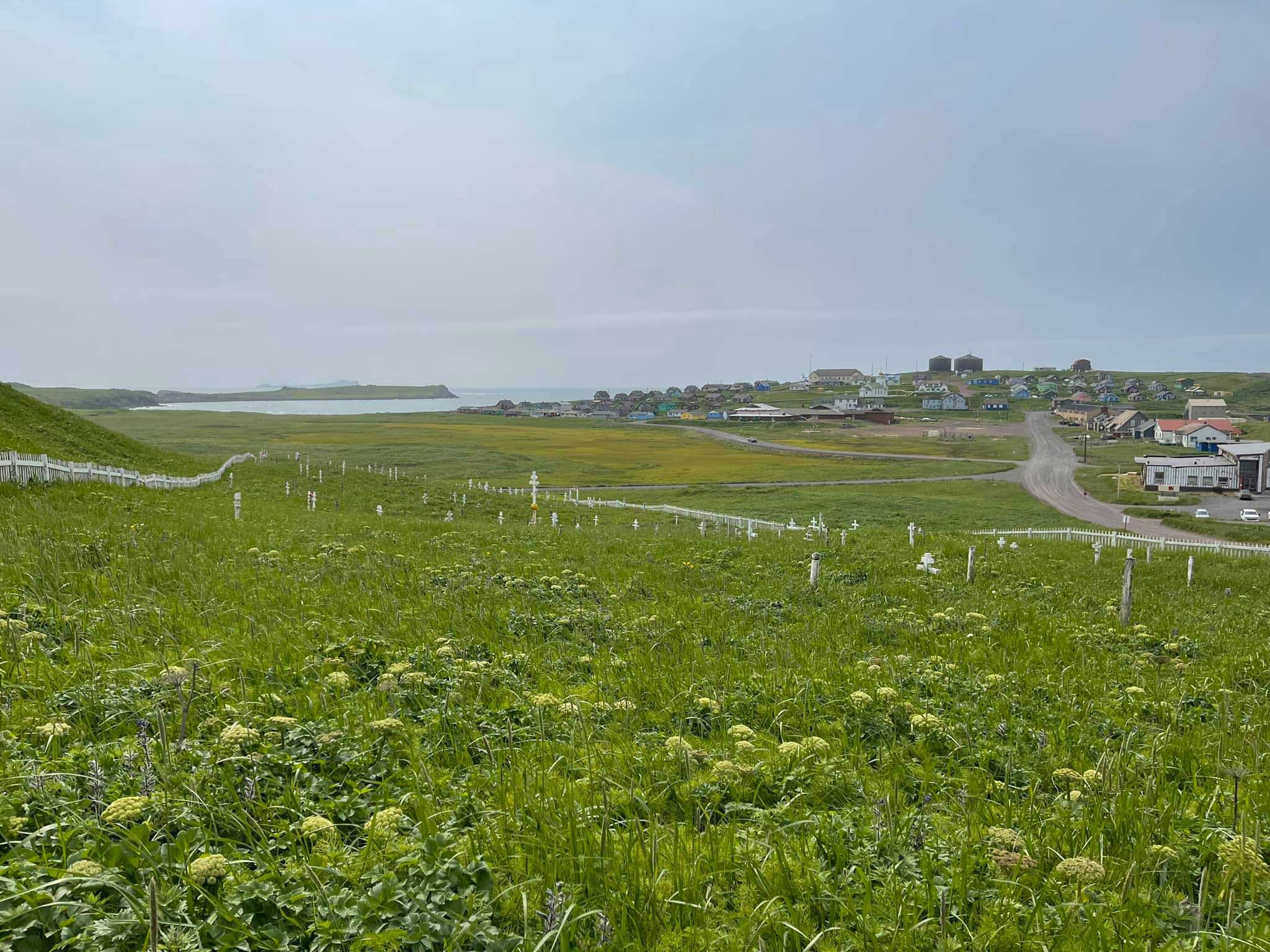 View of cemetery