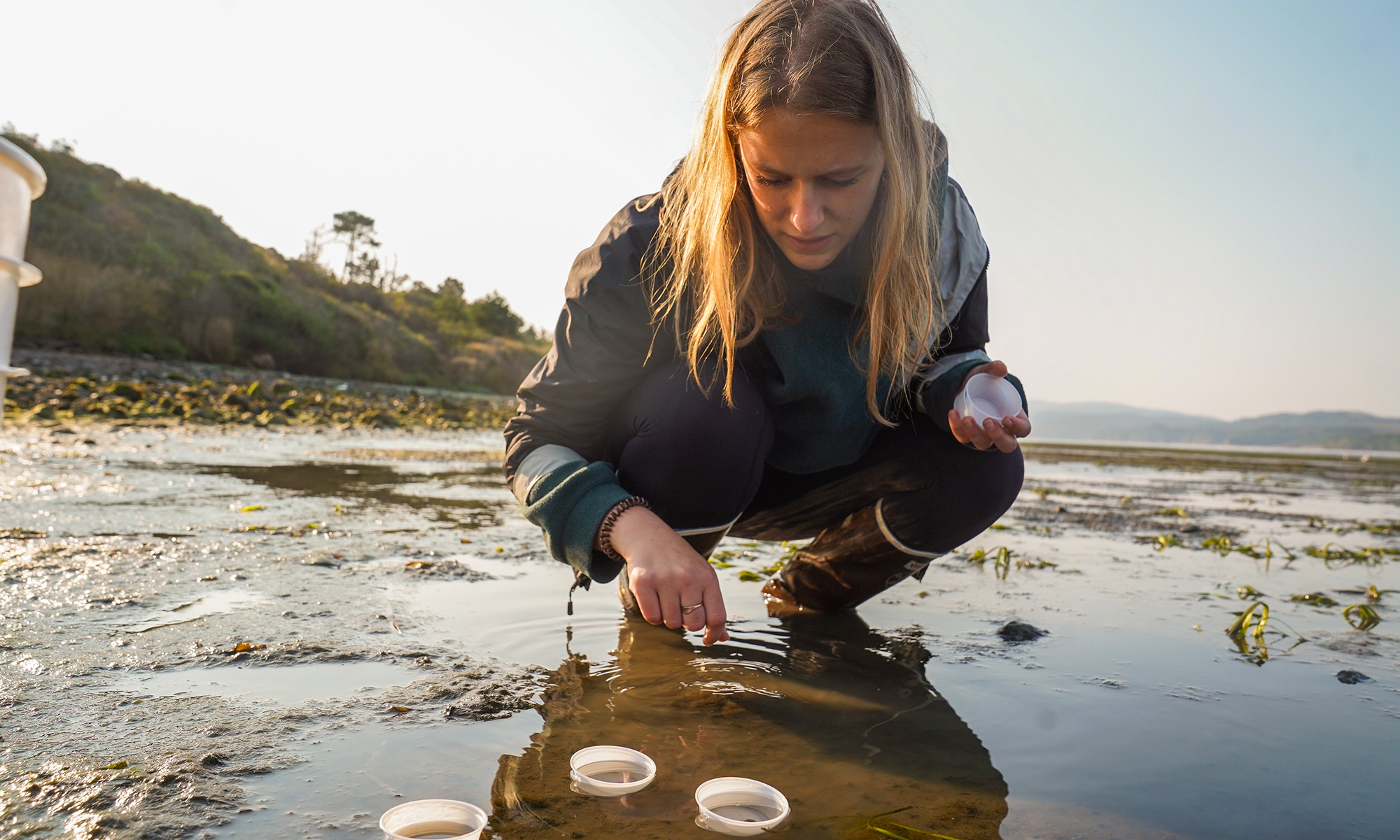 Zoe Brumbaugh is researching a newly identified invasive anemone in Tomales Bay.