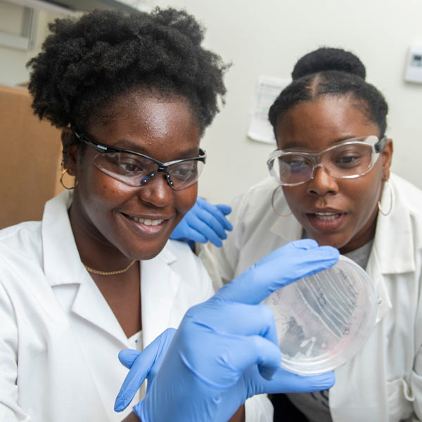 Two female students examine a petri dish
