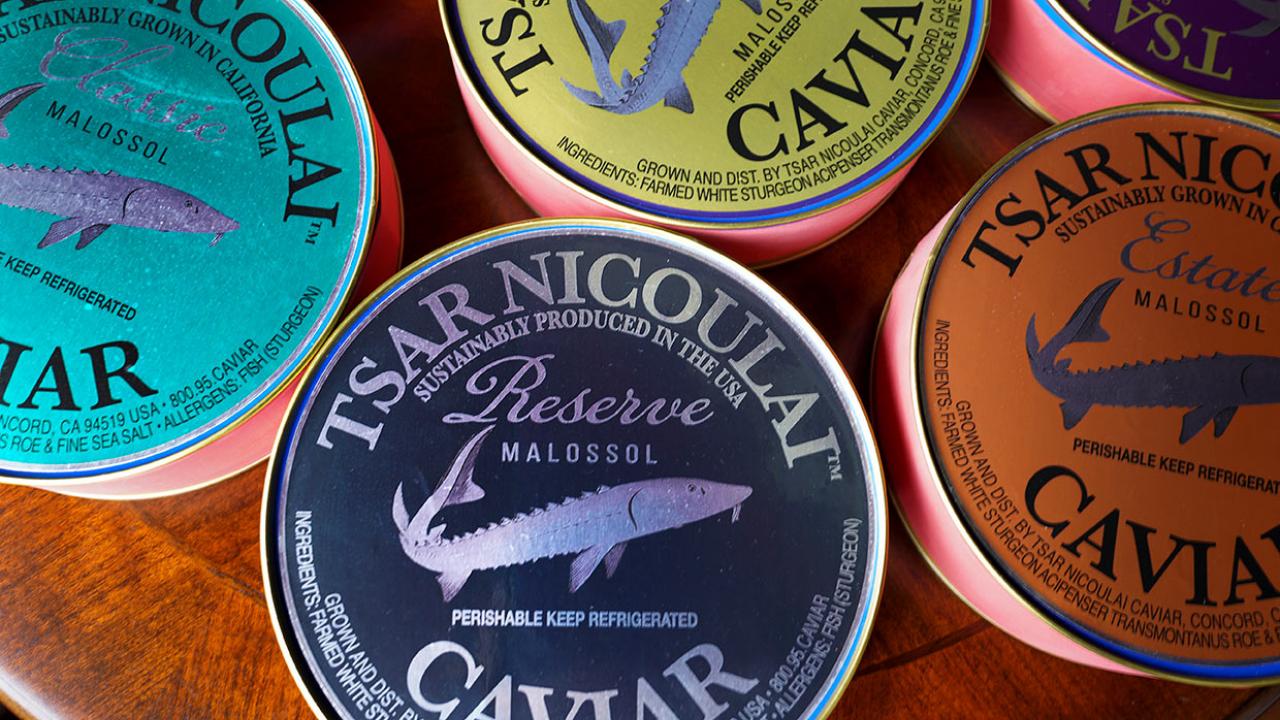 caviar