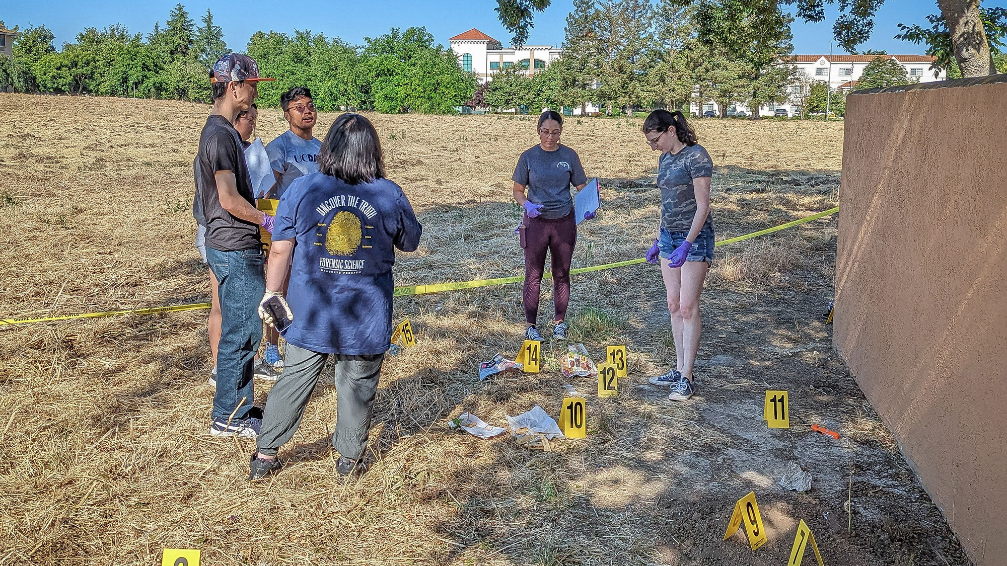 People in a sunny field examining numbered yellow evidence markers
