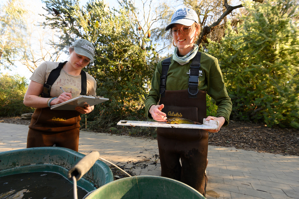 Two students in a field outfit stand outside with a clipboard at UC Davis.
