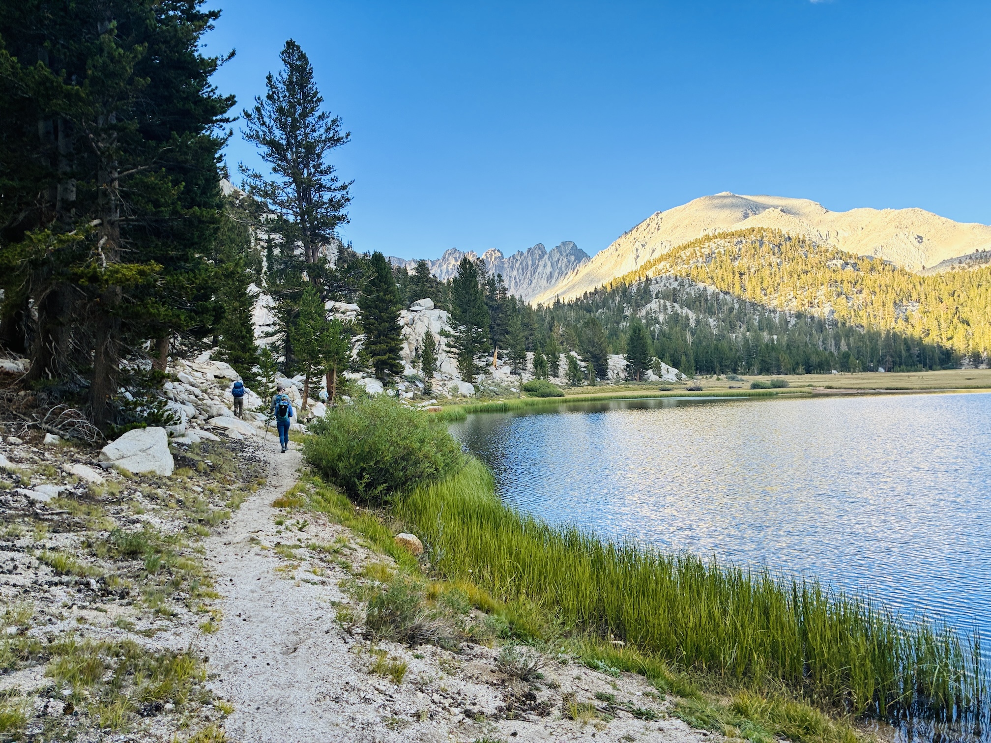 Hikers in the distance walk along gray rocky trail alongisde an alpine lake circled with green grass and a sunlit mountain in background