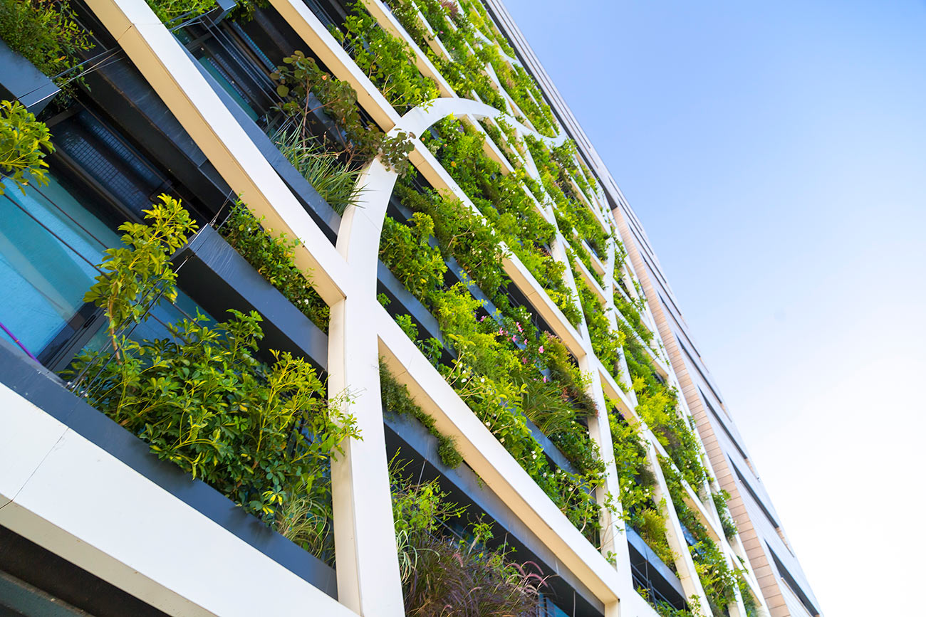 Tel Aviv Living Wall