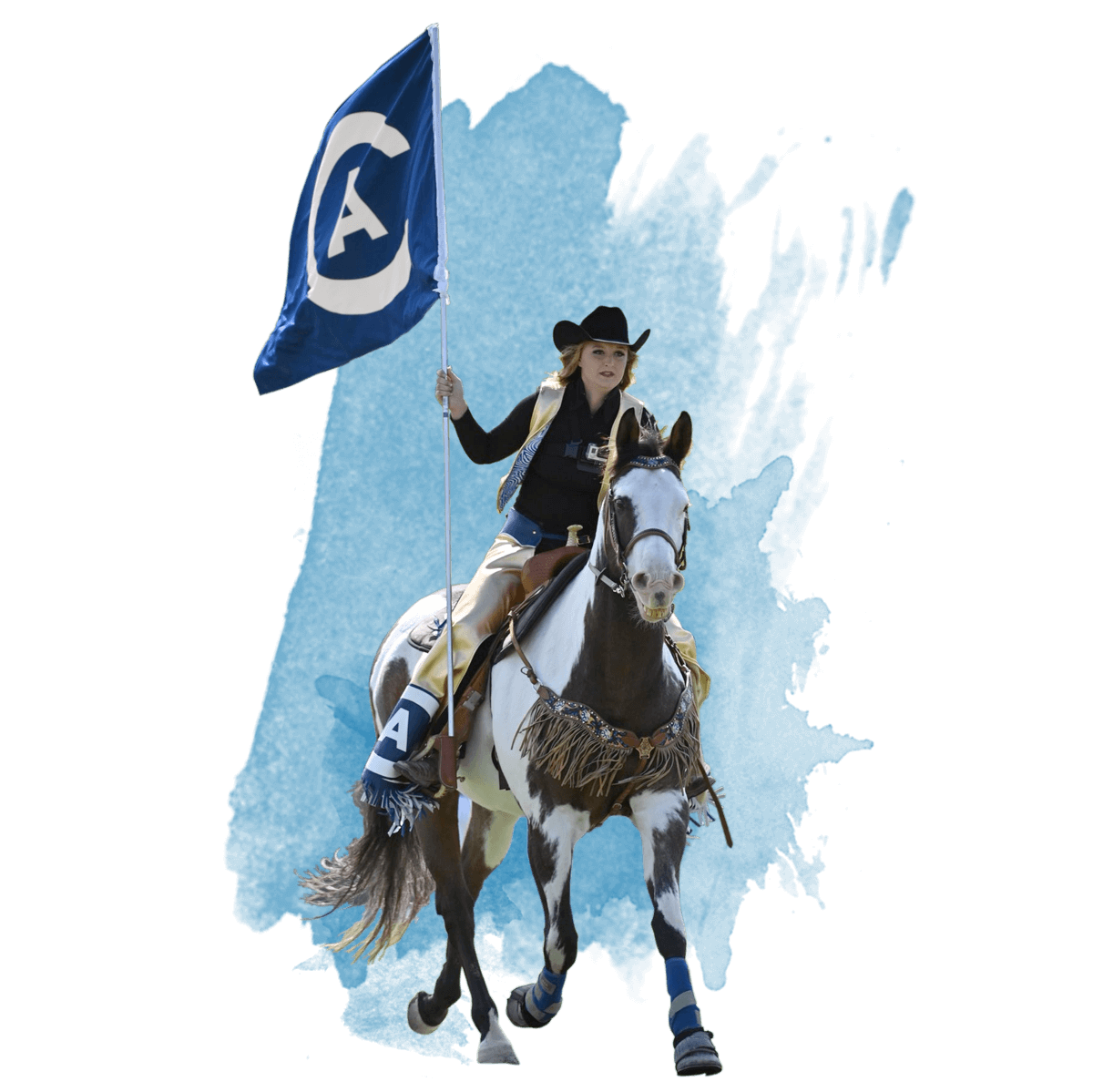 Maggie the Aggie riding her UC Davis branded horse out onto the football field
