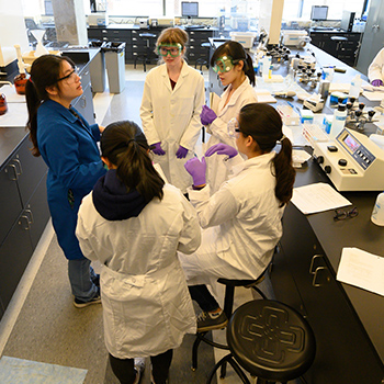 students meet with PhD candidate at uc davis food science lab 