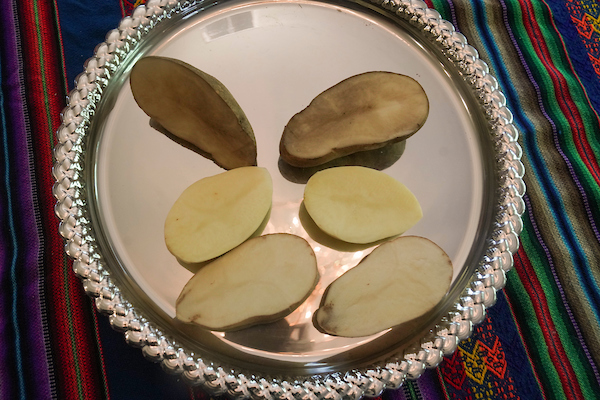 Non-browning GMO potatoes on a serving tray.