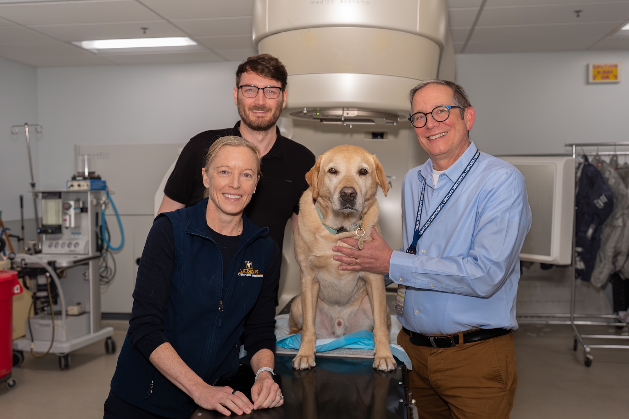 Three smiling clinic staff with a yellow Labrador in front of a medical imaging scanner. (Weill School of Veterinary Medicine)