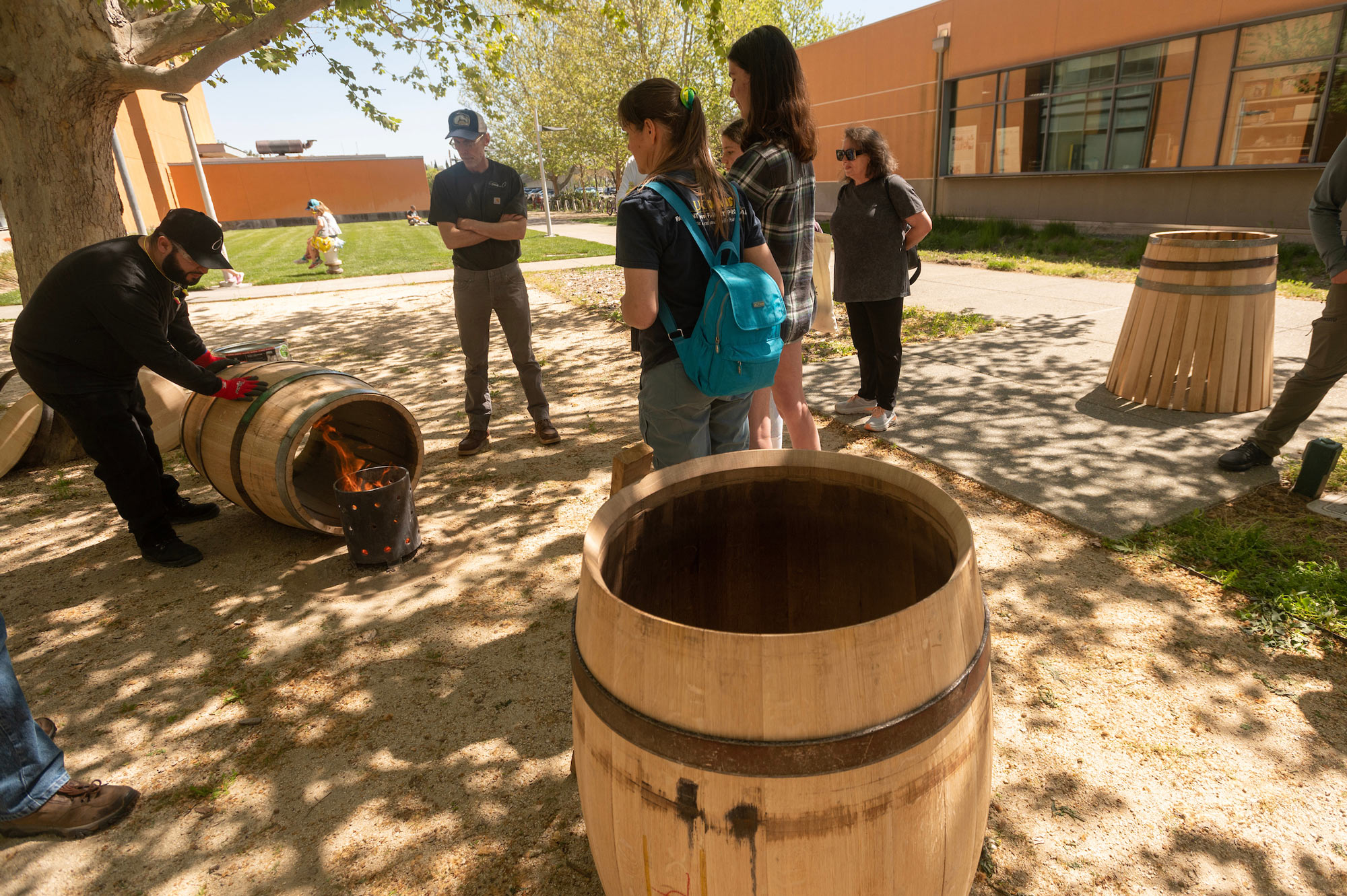 Picnic Day barrell making