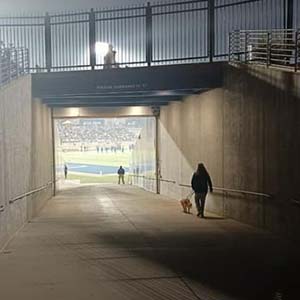 Pint and owner walking down football tunnel