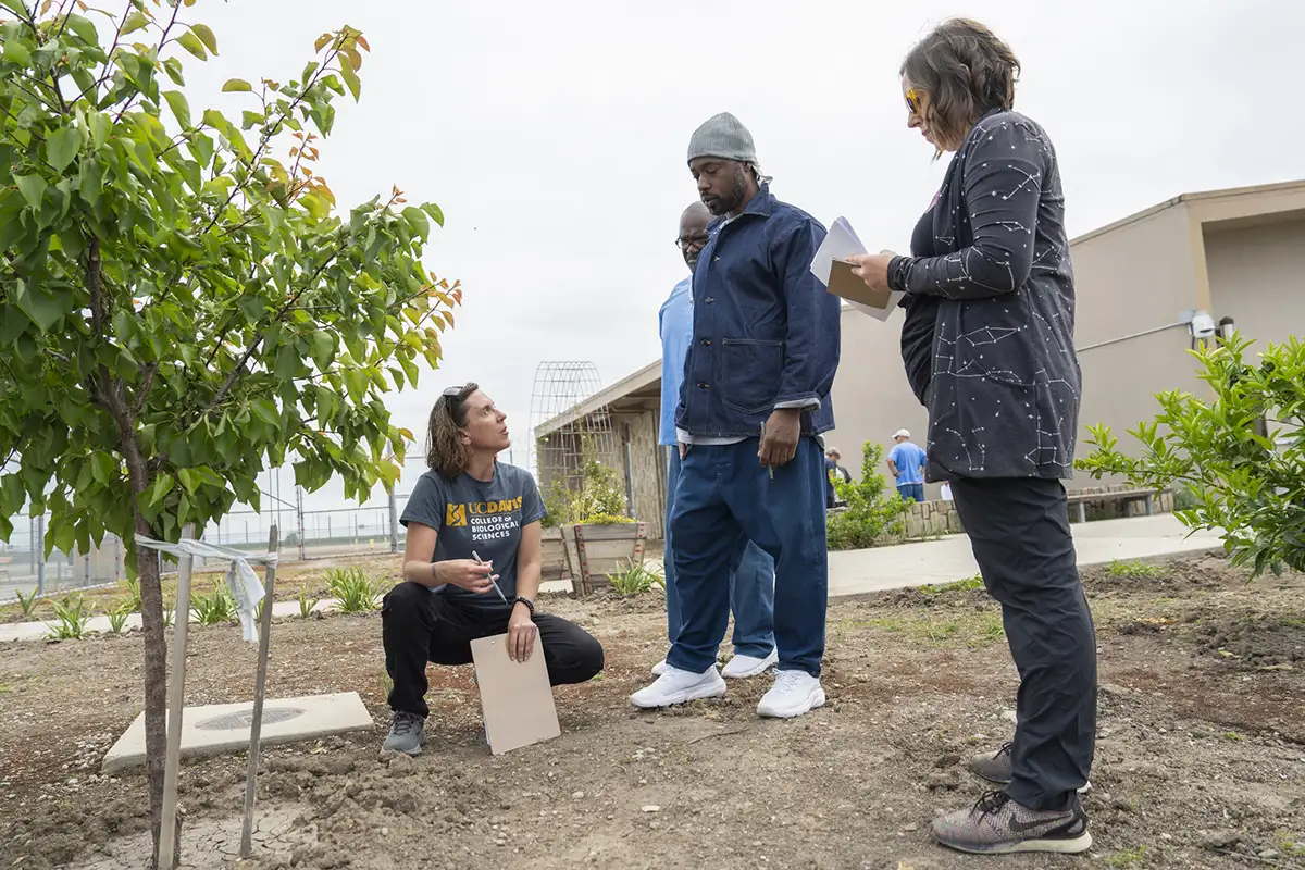 Three people collaborating in an urban garden, one kneeling with a clipboard.