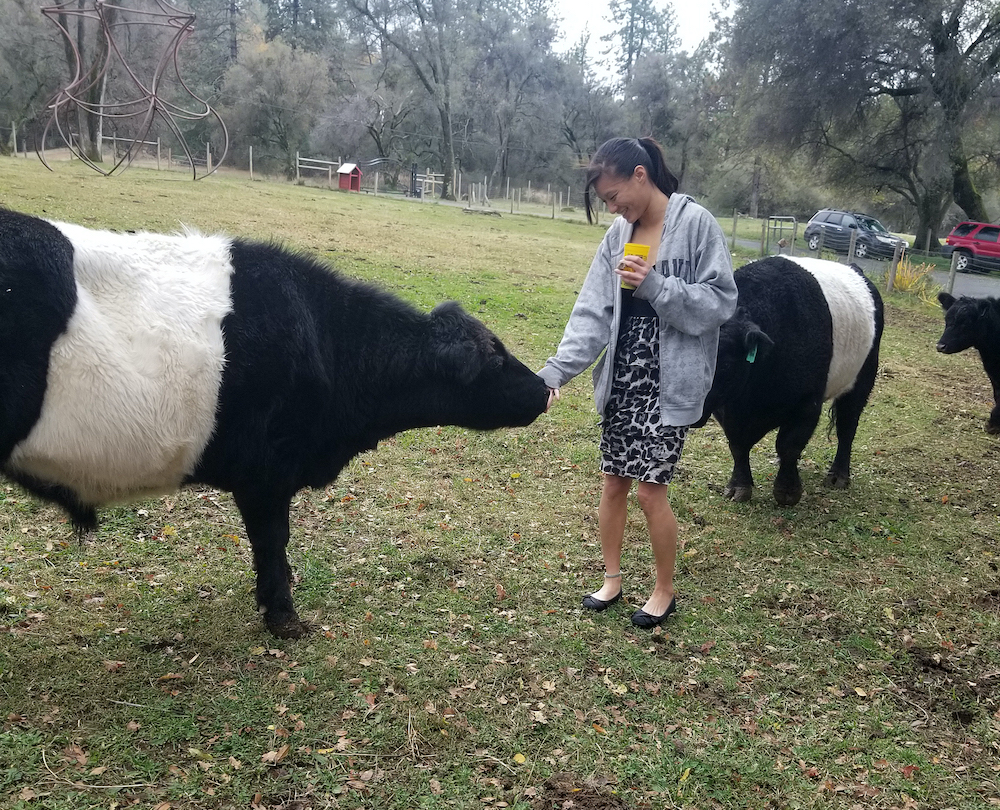 Vickie Chaimanont holds her hand up to a cow. 