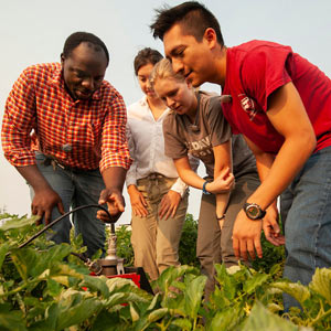 Students and professor gather around an ag patch