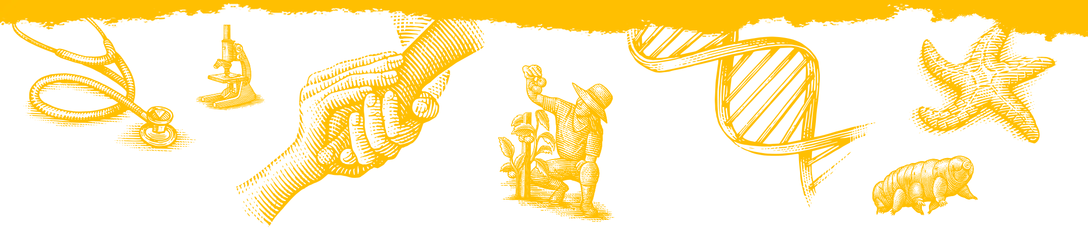 research illustrations background