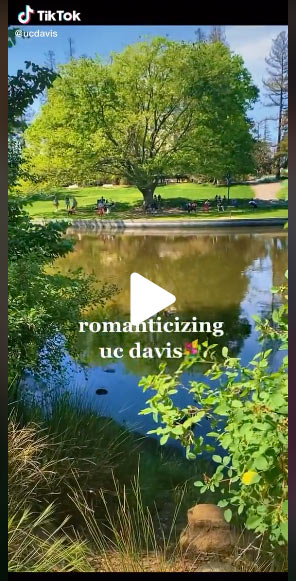 "Romanticizing UC Davis" TikTok title shot, looking out over Lake Spafford on UC Davis campus
