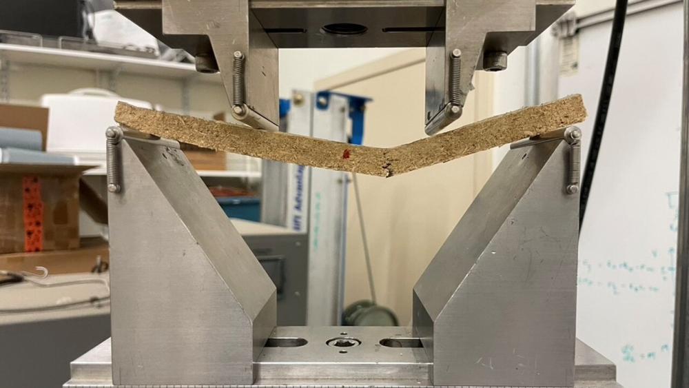 mycelium-sample-lab