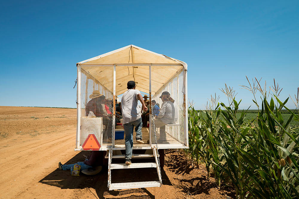 Cotton Trailer