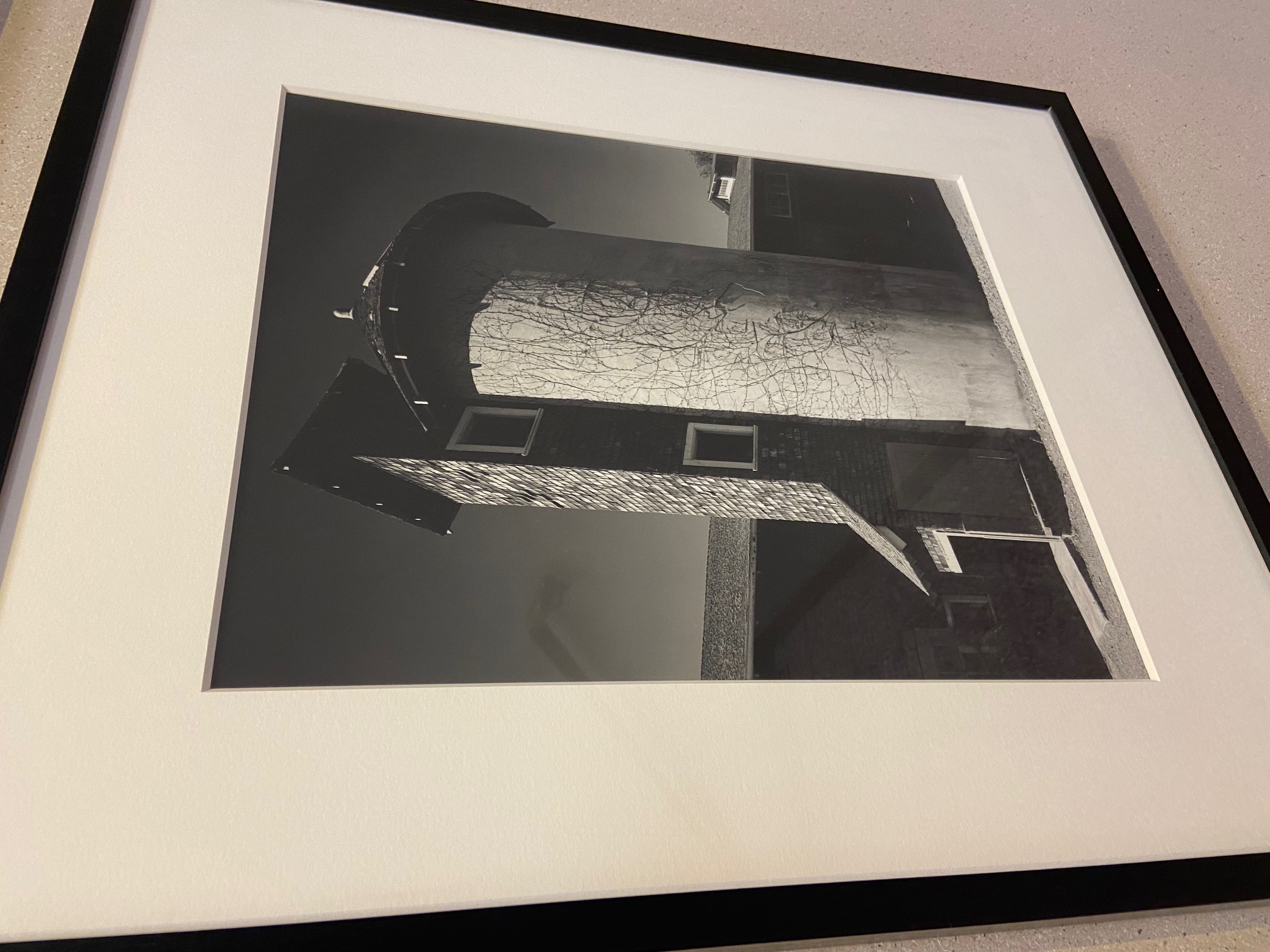 photo of Ansel Adams print hanging in Mrak Hall UC Davis