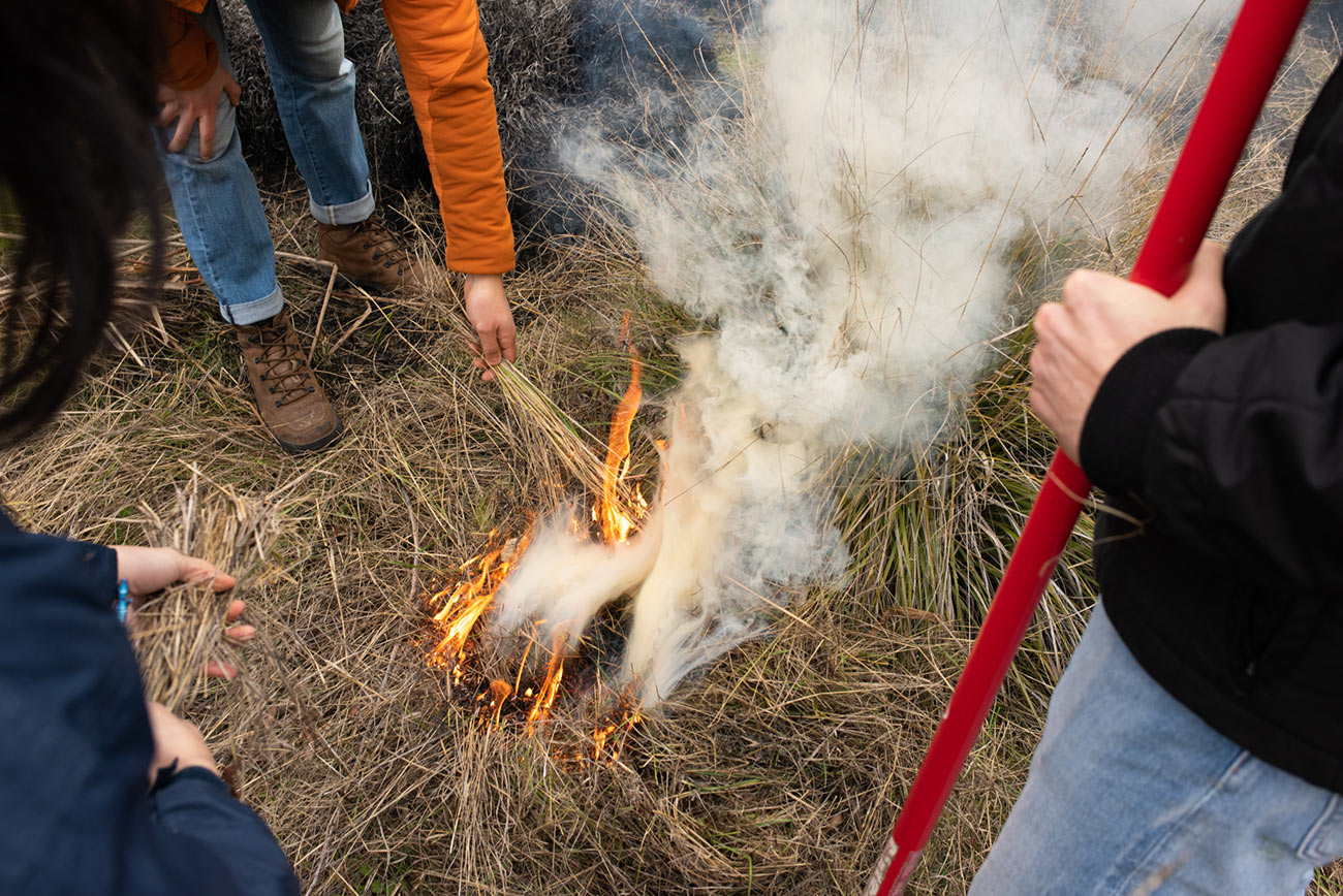 Deergrass piles being burned