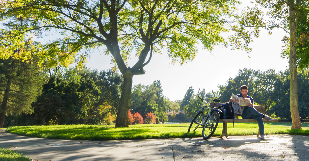 A student reads on a bench by a bike.