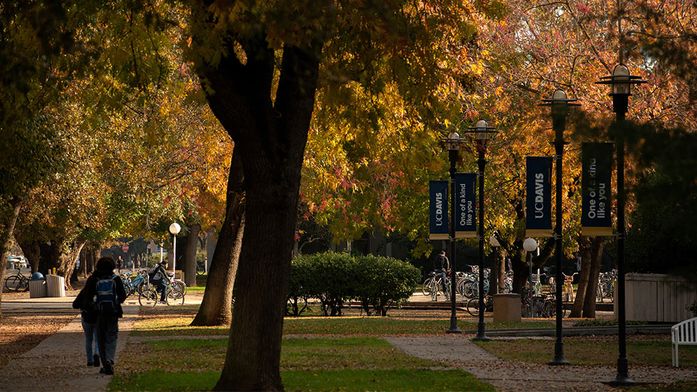 students take a stroll on campus