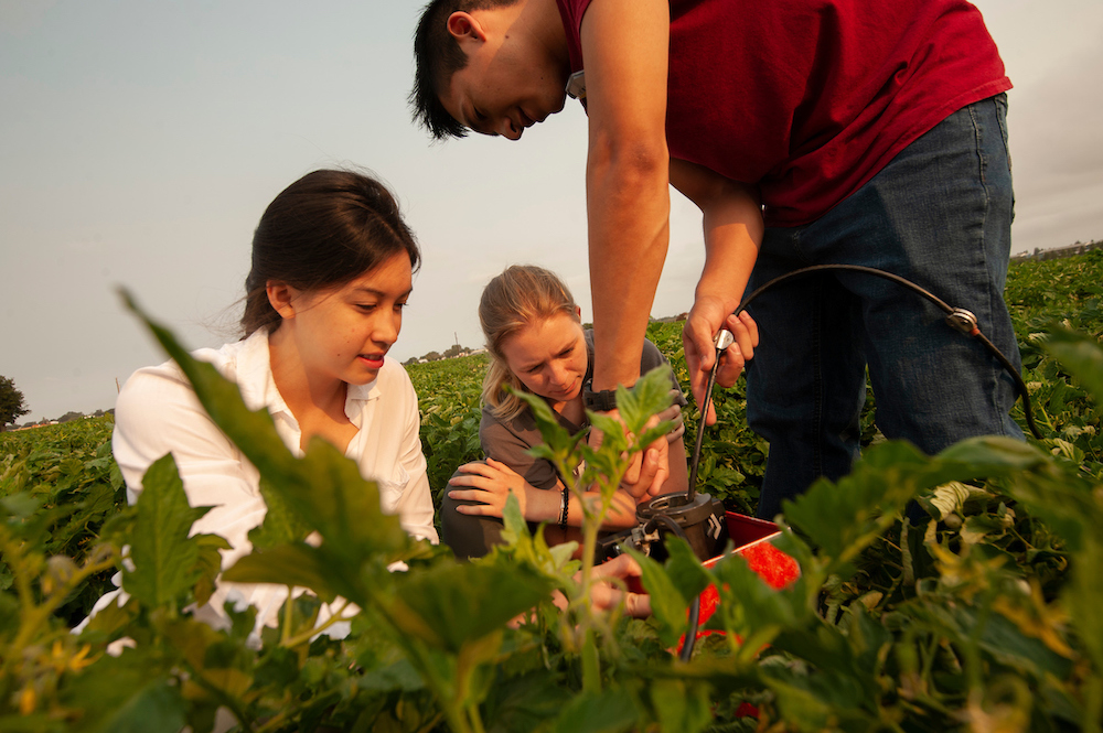 Three students stand in a field and work on the ground.