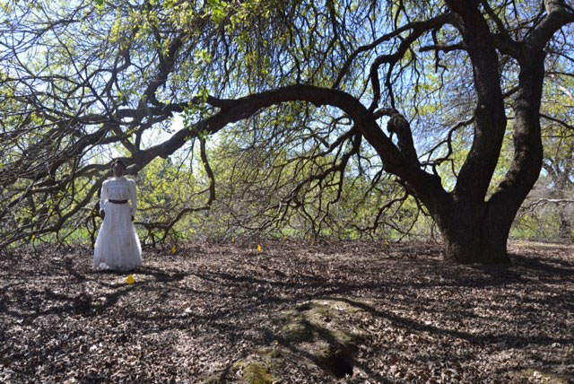 Woman in white dress, under leafless tree
