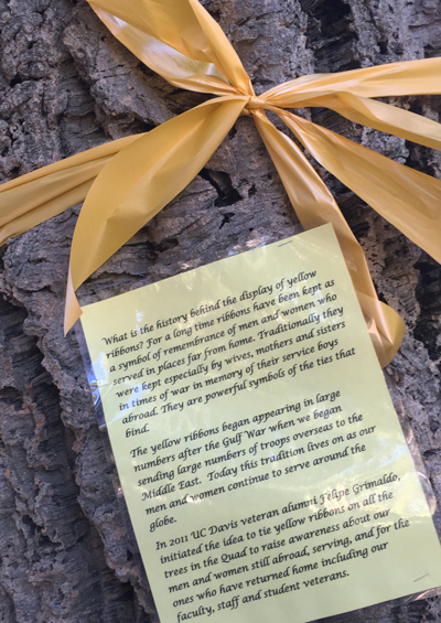 Yellow sign on tree.