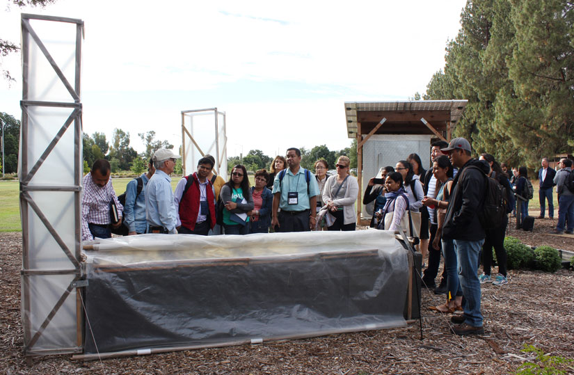 Chimney solar dryer.