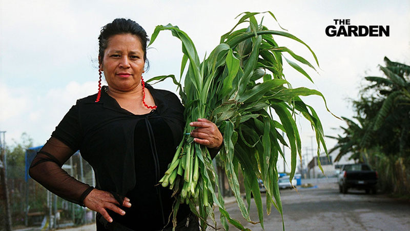 Woman holds produce from community farm.