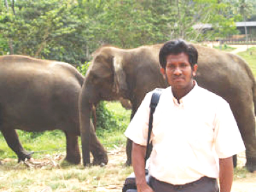 Eranda Rajapaksha with elephants.