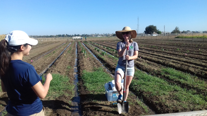 Sharon Gray with shovel, in field.
