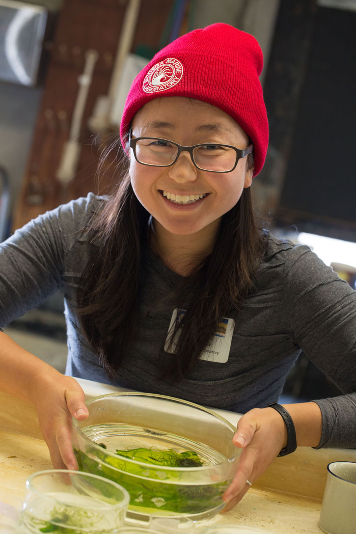 Grace Ha in lab at Bodega Marine Laboratory.