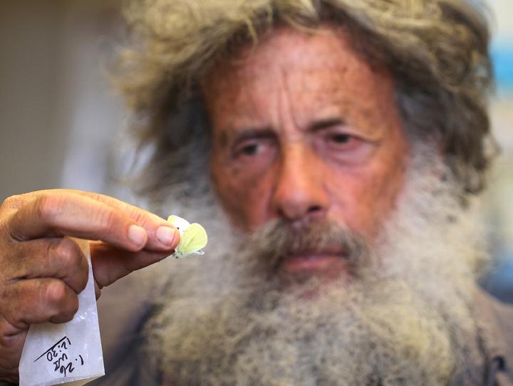 Art Shapiro holds a butterfly.
