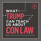What Trump Can Teach Us About Con Law