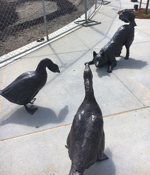 dog and geese