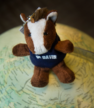 Gunrock stuffed animal atop globe